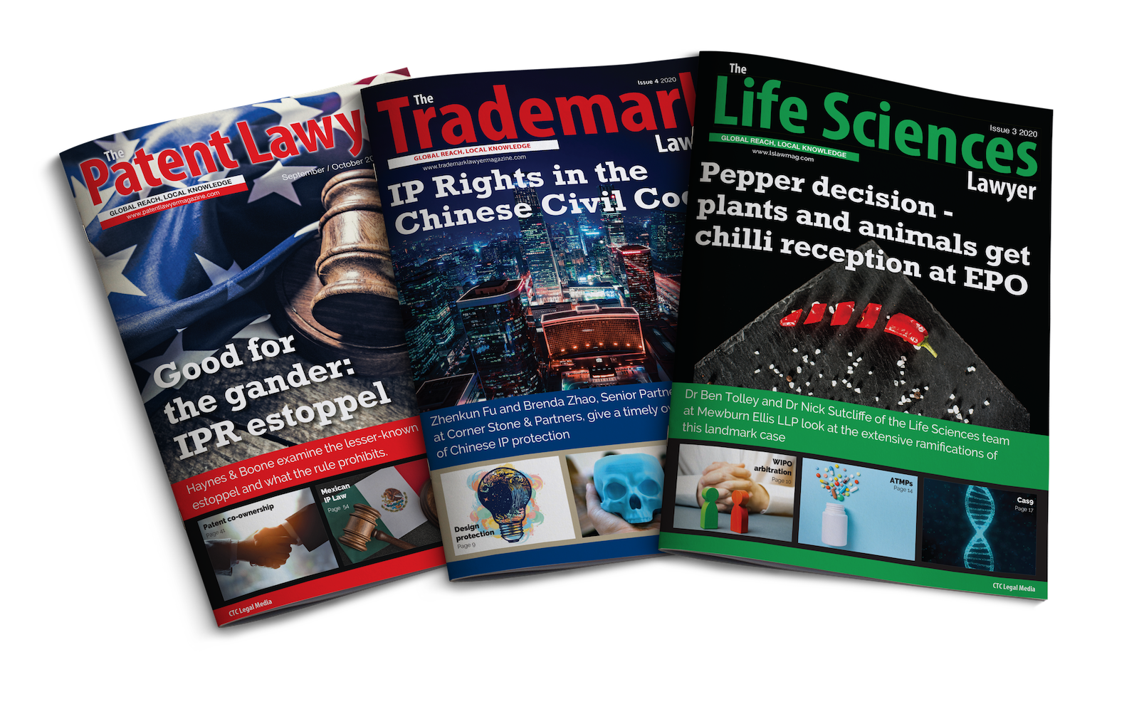 About Design and Print Solutions